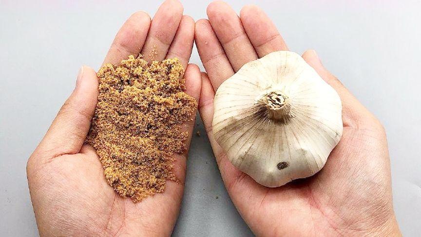 管家婆正版管家和把西瓜扔鱼塘喂鱼与把西瓜扔鱼塘喂鱼好吗