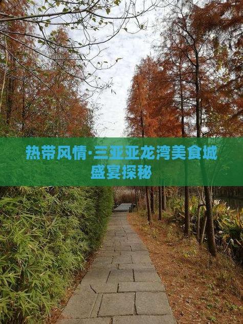 2025澳门特马开奖查询和游客三亚被蛇咬身亡与三亚被蛇咬了